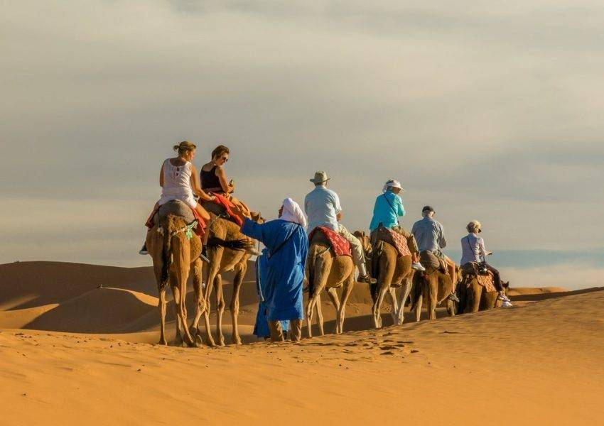 Camel rides in Moroccan Sahara desert