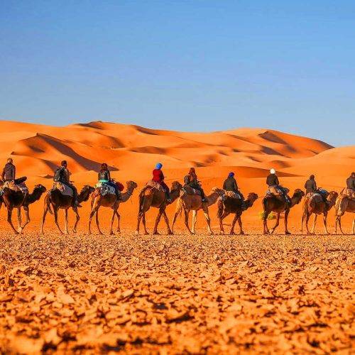 Morocco Trips, Private Tours Packages, Best tour company