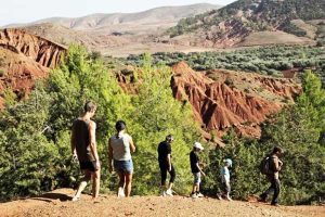 Morocco Trips: Best Private Tours, Trip Packages, Travel Company