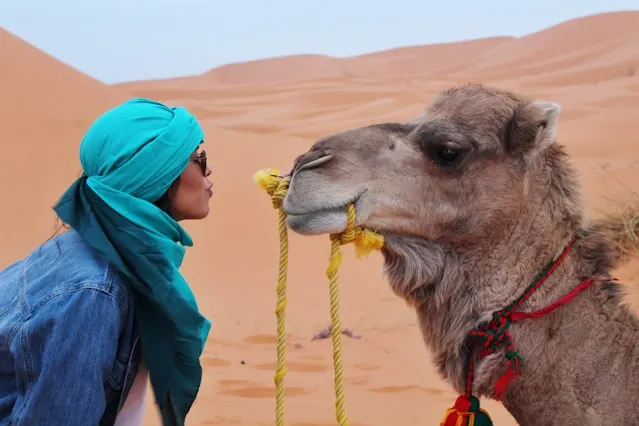 Tourist Kissing the Camel while Joining Morocco Desert Trip