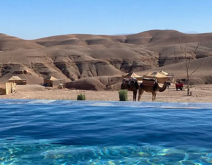 a Blue Pool and Camels in the Desert of Agafay