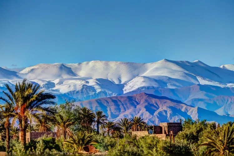 the Atlas Mountains