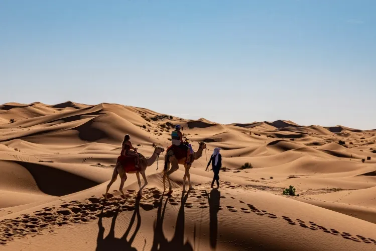 the Moroccan Desert